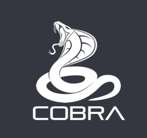 cobraにキーワード（初心者・AI・ブログ）を入れた記事を書かせてみた