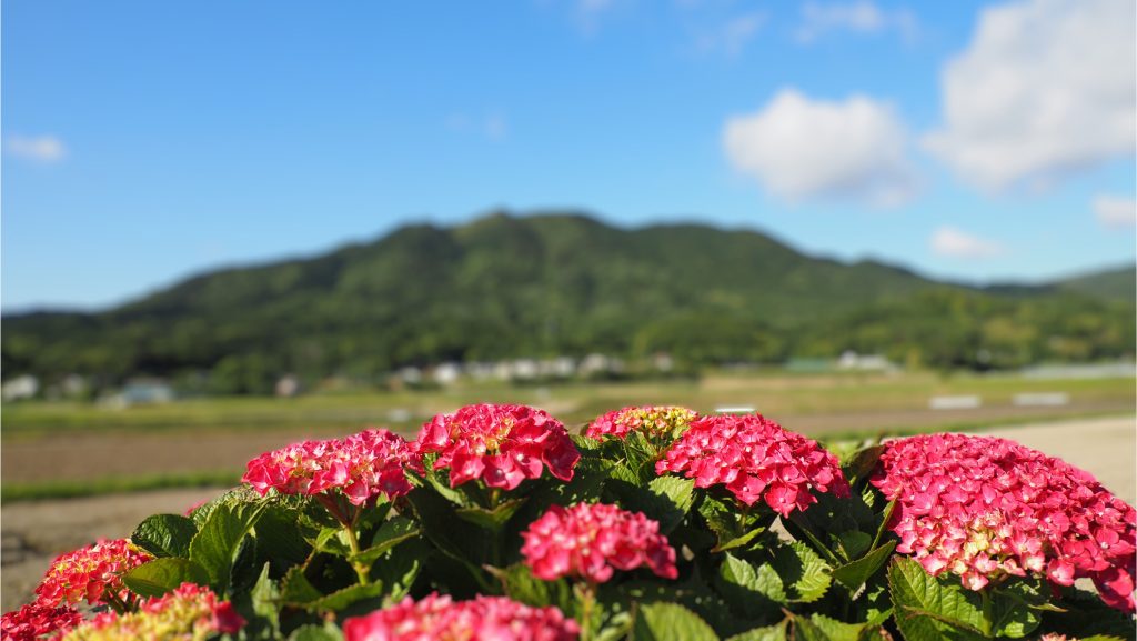 糸島　高祖の麓